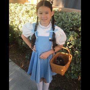 💙Dorothy Dress w/hair ribbon Approx size 7/8💙